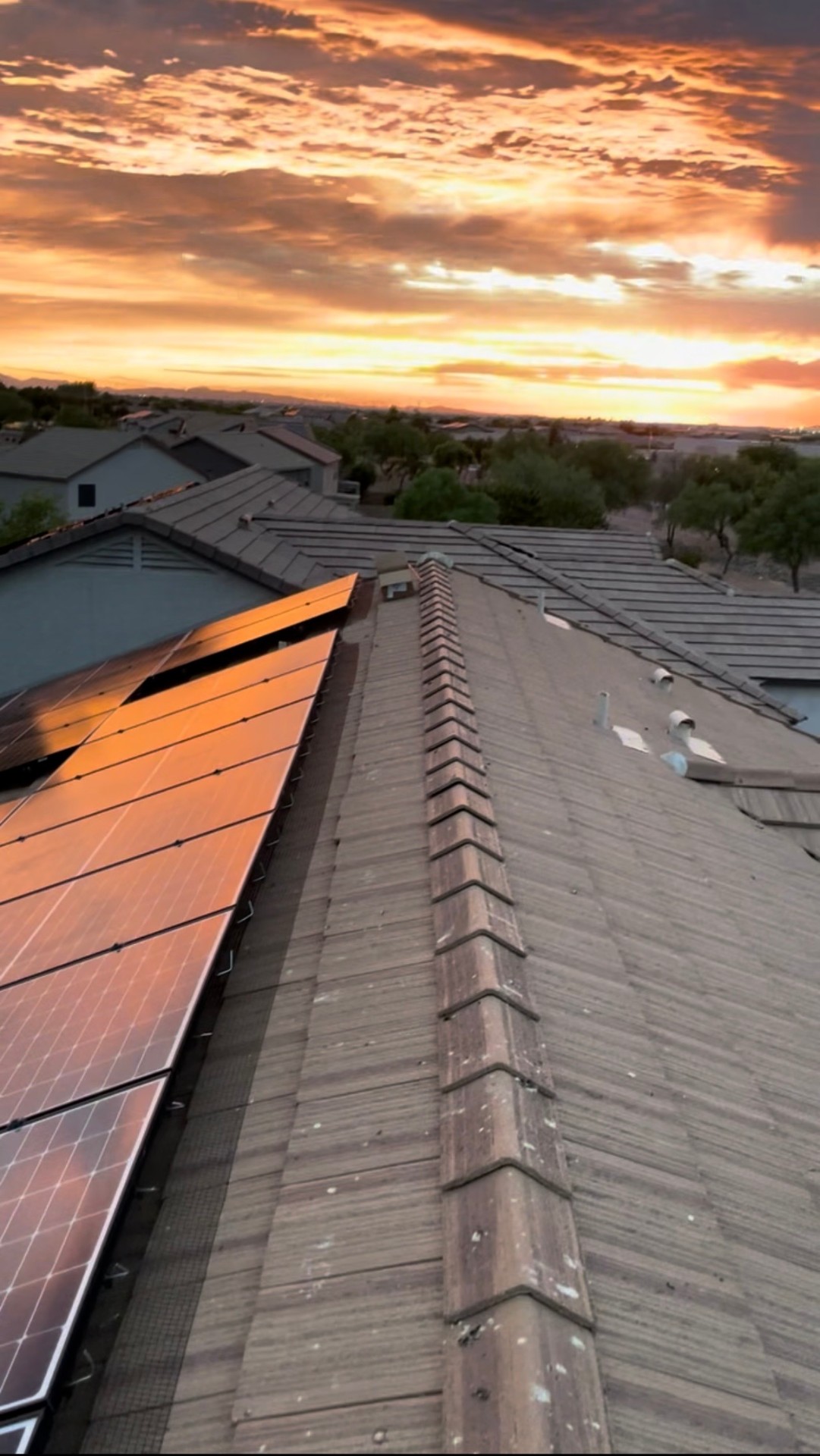 Technician cleaning solar panels